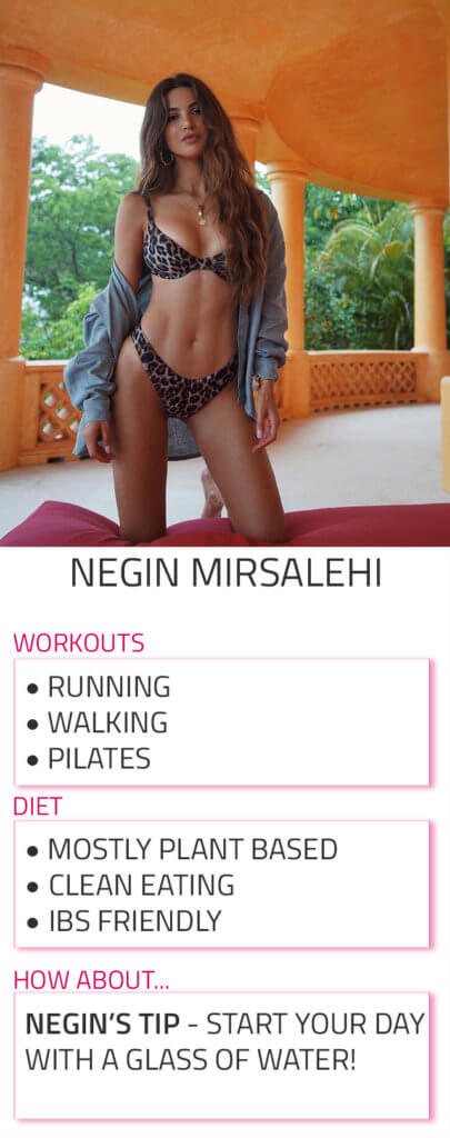 negin mirsalehi diet