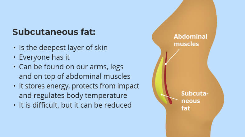 what is subcutaneous fat