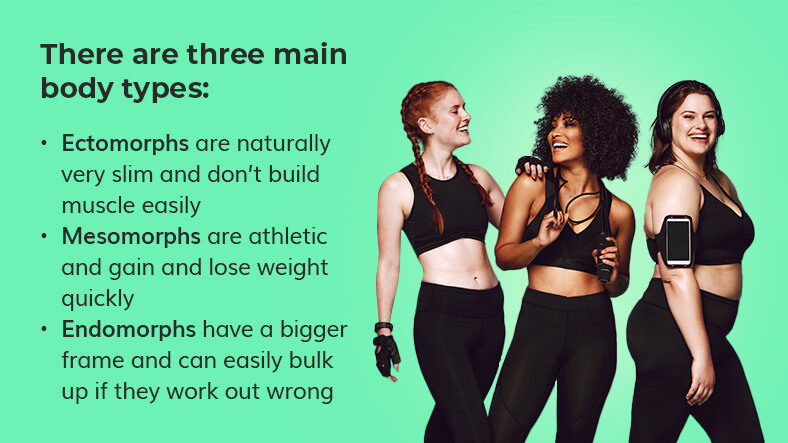three main body types